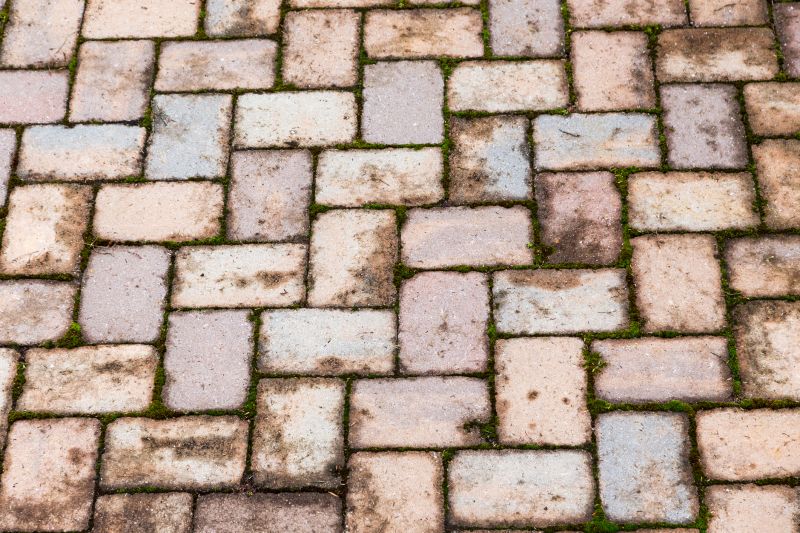 Brick Flatwork Repair in Manatee County, FL